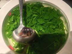 -醉庐·新上海菜(南京西路店)