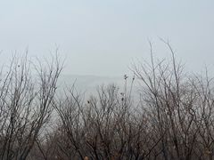 -狼牙山风景区