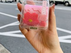 -香老铺松荣堂(产宁坂店)