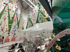 -绿壁虎攀岩基地(Tcar店)