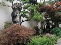 -上海醉白池公园