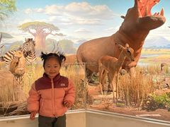 -陕西自然博物馆