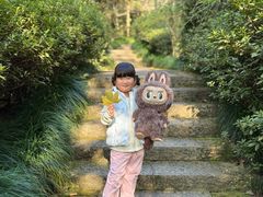 -杭州半山国家森林公园