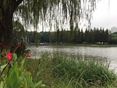 -昆山城市生态森林公园