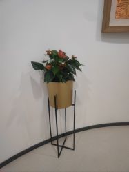 -丰联丽格医疗美容·联合丽格眼整形中心