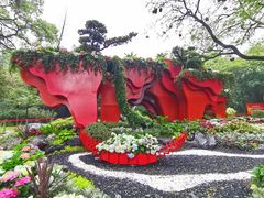 -广州市白云山风景名胜区