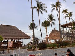 -Coco Tam’s