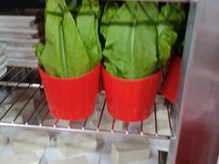-清真军邺·金富苑肥牛(石坡街旗舰店)