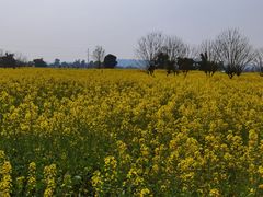 -蜀绣公园