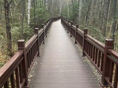 -汤旺河林海奇石景区