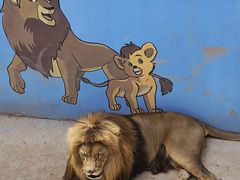 -青藏高原野生动物园