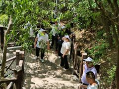 -狼牙山风景区