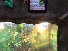 -上海大自然野生昆虫馆(东方明珠·爬宠昆虫探索中心)