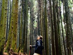 -山王坪喀斯特国家生态公园