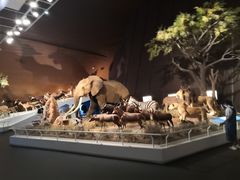 -贝林大翅鲸简餐厅(国家海洋博物馆店)