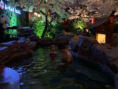 -嘉悦汗蒸时代(曙光路店)