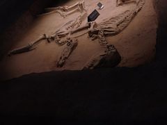 -洛阳周王城天子驾六博物馆