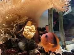 -太平洋海底世界