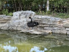 -三里河公园