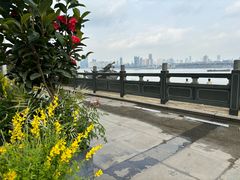 -汉水谣·江景餐厅(江滩店)