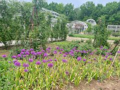 -石家庄市植物园