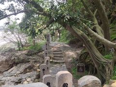 -江心屿景区