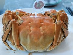 -阳澄湖费尔蒙酒店颐丰阁中餐厅(马鞍山西路店)