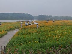 -海珠湖公园