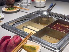 -海底捞火锅(大学路新象城店)