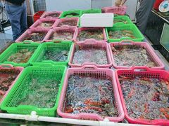 -众味海鲜大排档·活海鲜·潮汕味(南澳店)