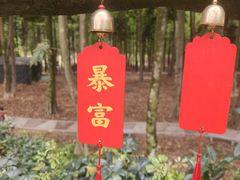-广州市帽峰山景区