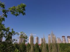-群力丁香公园