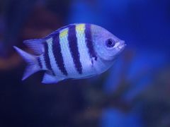 -多彩贵州城极地海洋世界