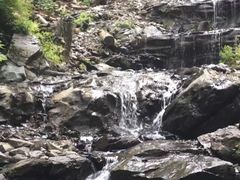 -凤凰山国家森林公园