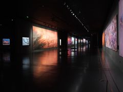 -罗红摄影艺术馆