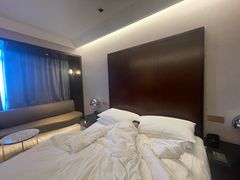 -上海龙之梦万丽酒店