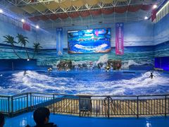 -多彩贵州城极地海洋世界