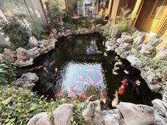 -鲤院·新中式美学·庭院餐厅(夫子庙店)