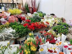 -双季花艺园艺市场(浦东店)