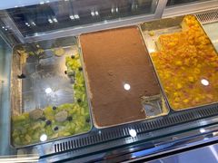 -禾沐·轻食·面包·咖啡