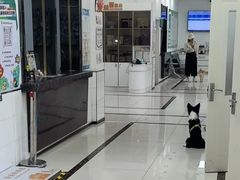 -派美特宠物医院·核磁CT·骨科肿瘤·疑难转诊(沈农禾丰店)