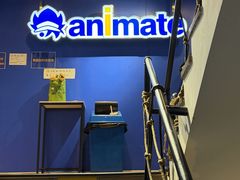 -Animate(工人体育场东路店)