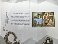 -贝壳王国博物馆