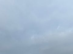 -合肥滨湖国家森林公园