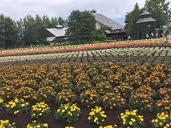 -富田农场