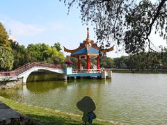 -金砂公园