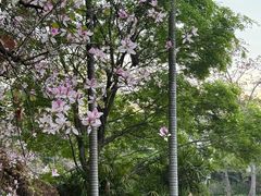-柳侯公园