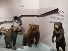 -长江文明馆