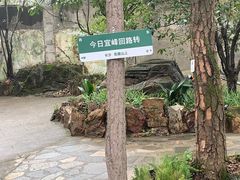 -岳麓山风景名胜区