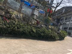 -老幺泉水鸡